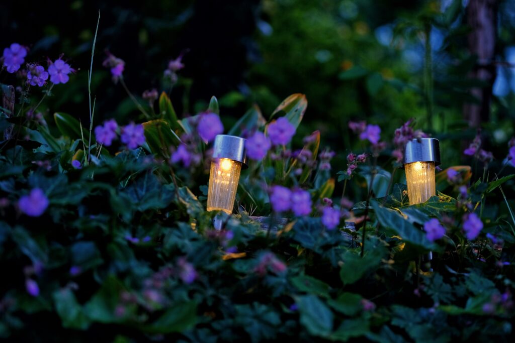 Garden lit with soft night lights