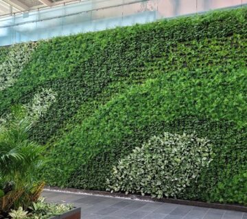 Green Walls
