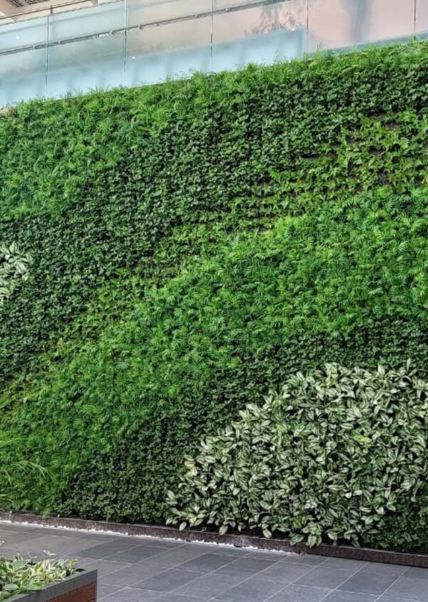 Green Walls