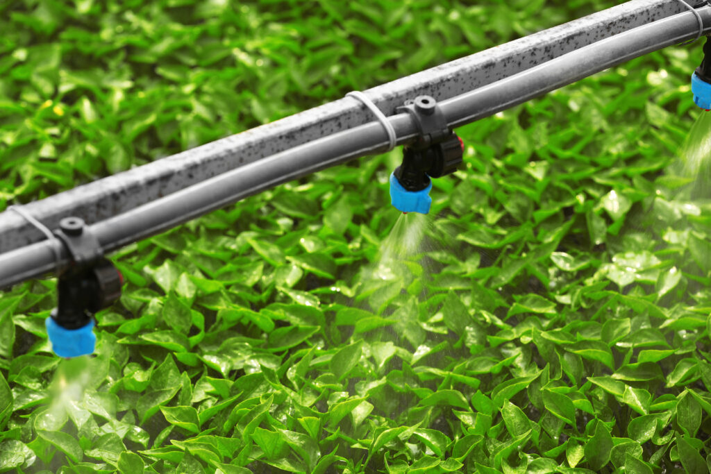 Illustrative image of a modern drip irrigation system.