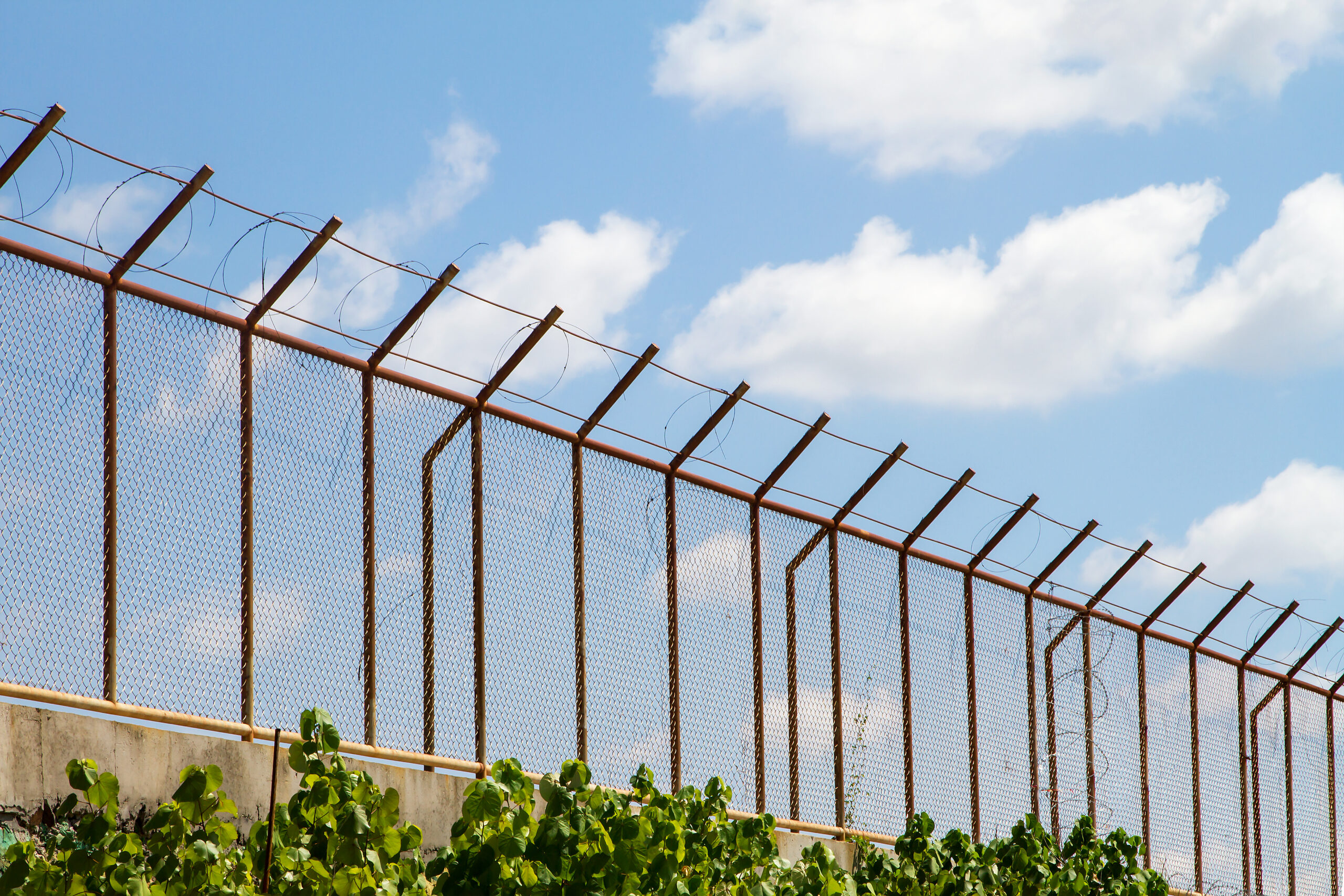 project fencing
