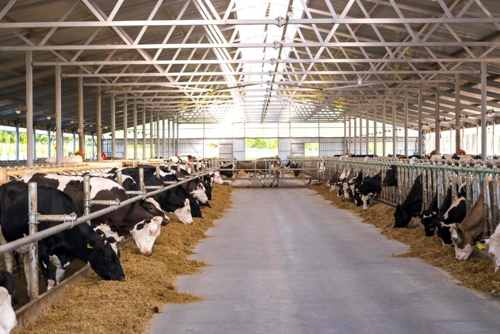 Picture of a sturdy agricultural hangar or livestock barn